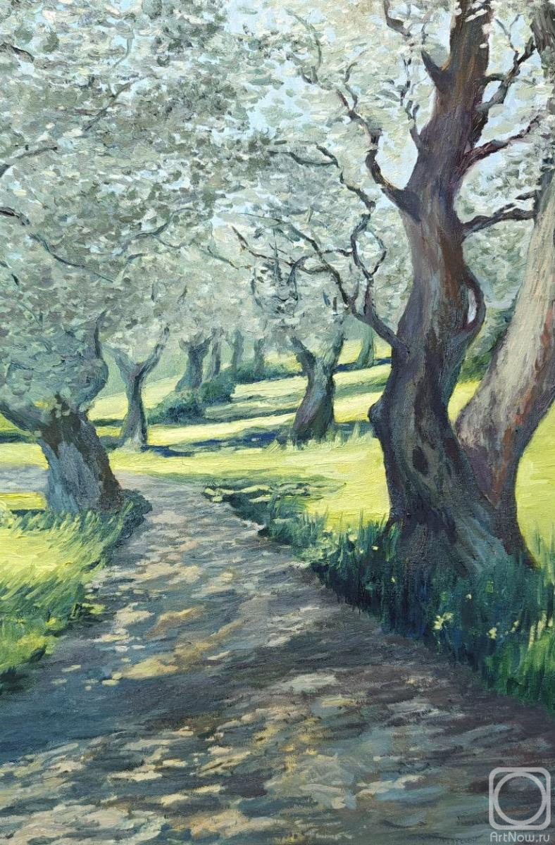 ������� ������ �� ������. ��������� �����. ��������� ����