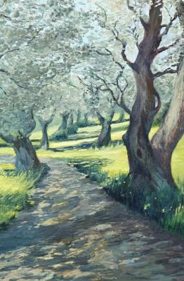 ��������� ����