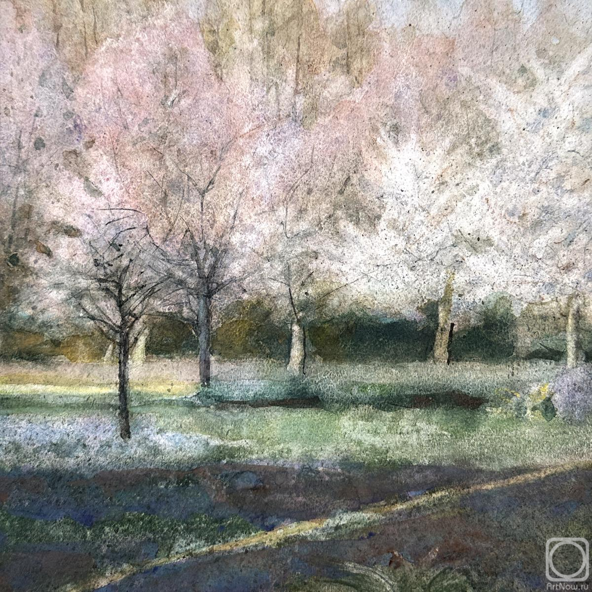 �������. ��������� ��������. ����� ������