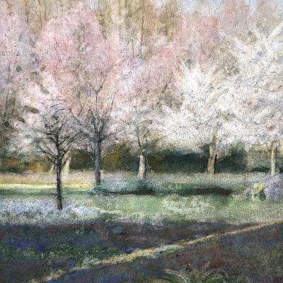 ����� ������ (�������� �������). ��������� ��������