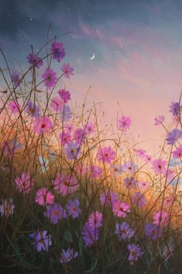 �����. ��� ��������