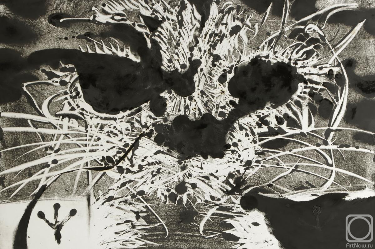 �������. ��������� �������. ��� �������