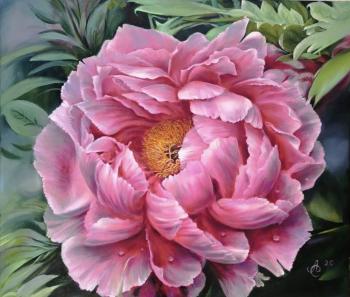 ����������� ����. �������� �������