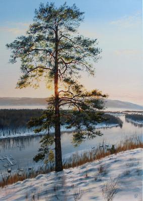 �������� ����