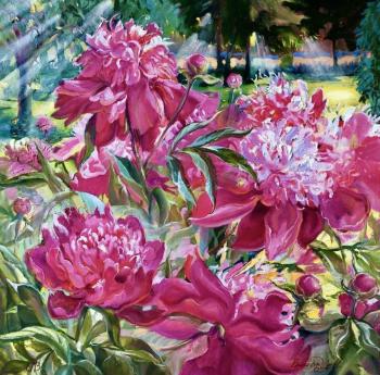 ������� �������� ������� ��������