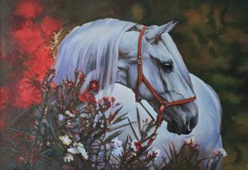 ������ ������