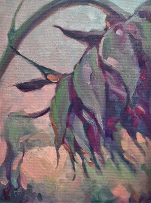 ������� �����������