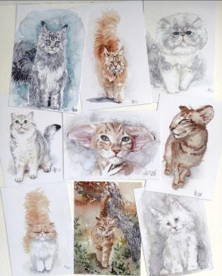 ����� �������� ����. ������ �������