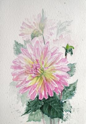 ������� (����� � ������� �����). ������ �������