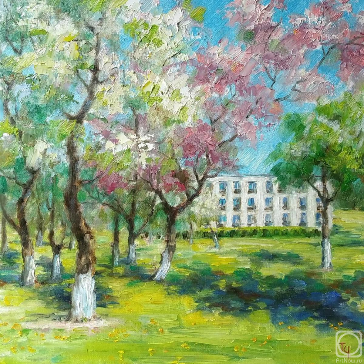 �������. ��������� �������. �����. ��������