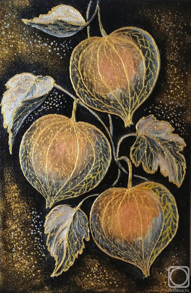 Rodionova Lyudmila. Physalis