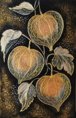 Physalis. Rodionova Lyudmila