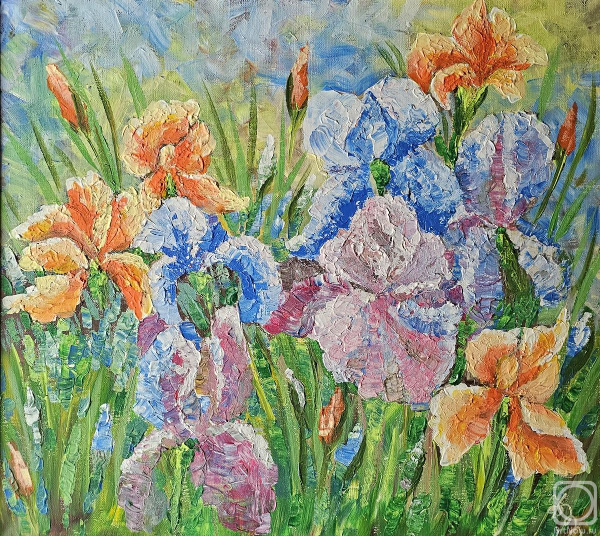 �������. �������� �����. �����