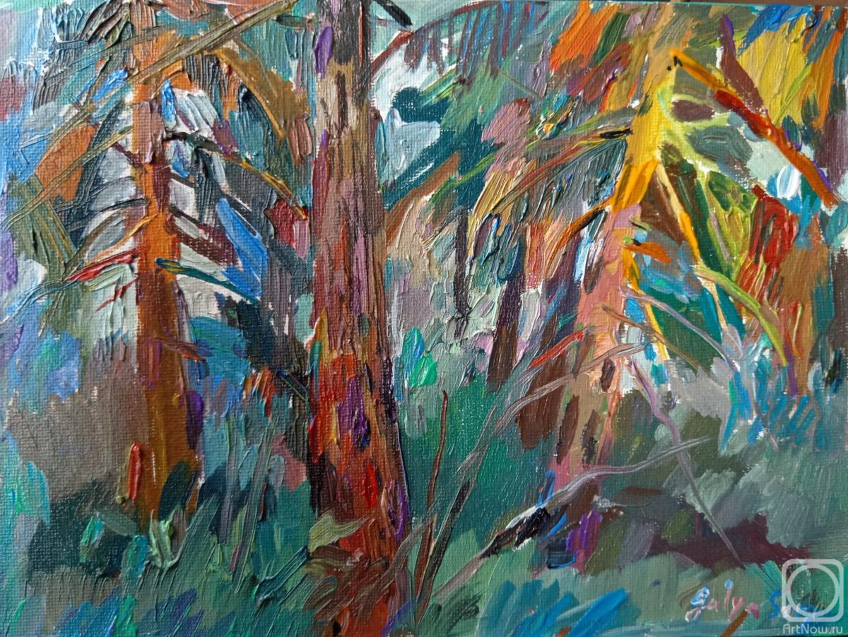 �������. ����������� ������. ����� � ���� � ����� �����