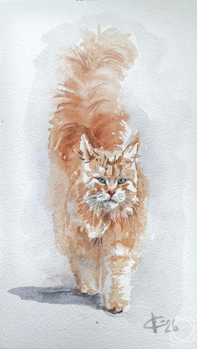 �������. ������ �������. ������ �����