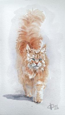 ������ �����. ������ �������