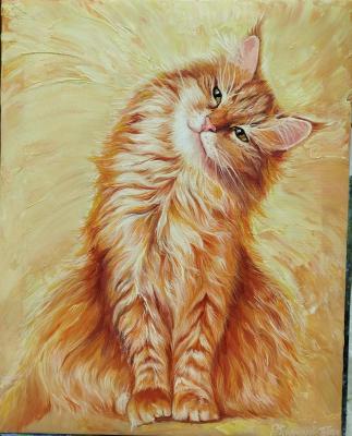 ����� ���