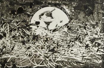 Untitled. Vasilenko Dmitriy