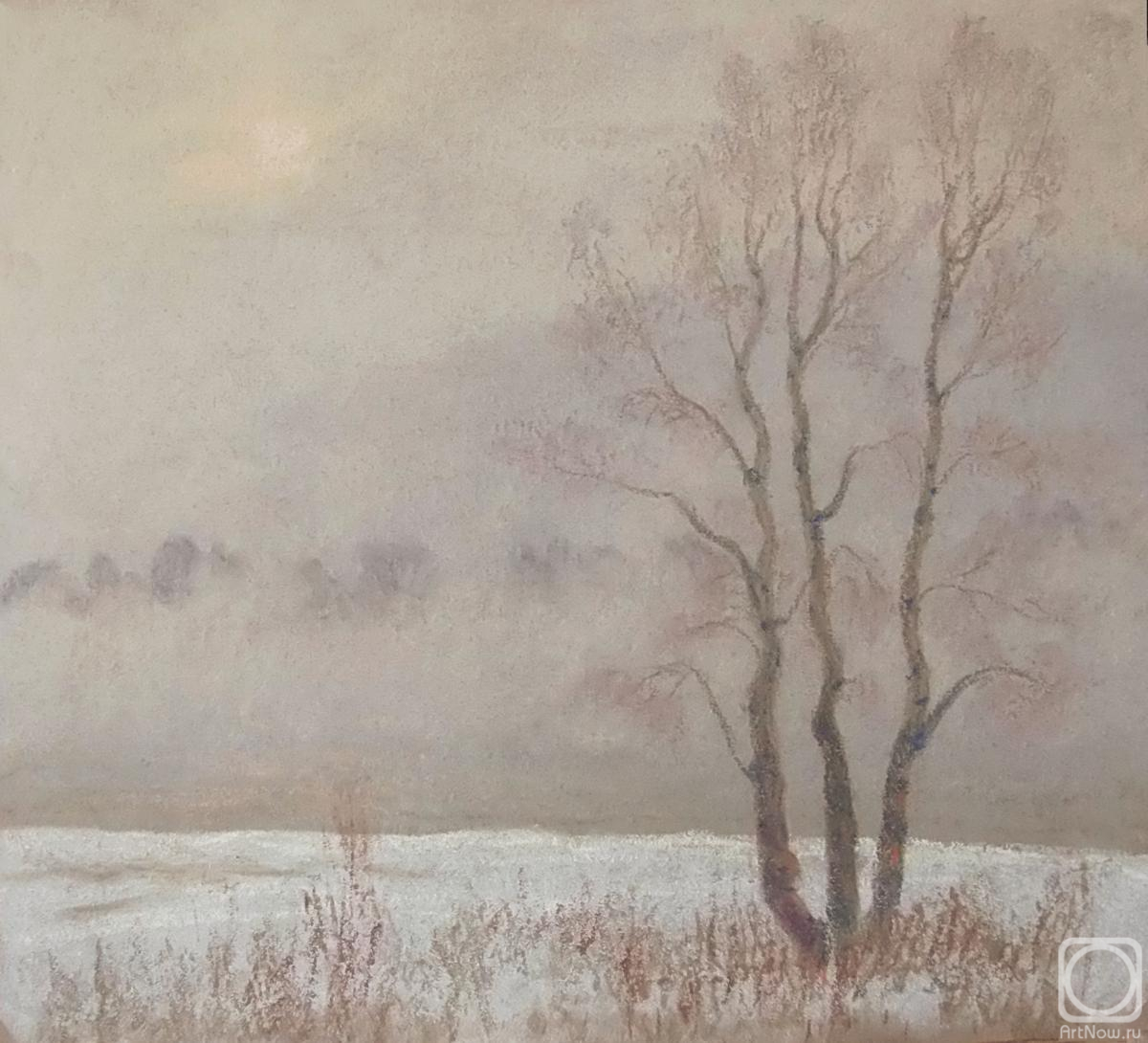 �������. �������� �����. ������ ����