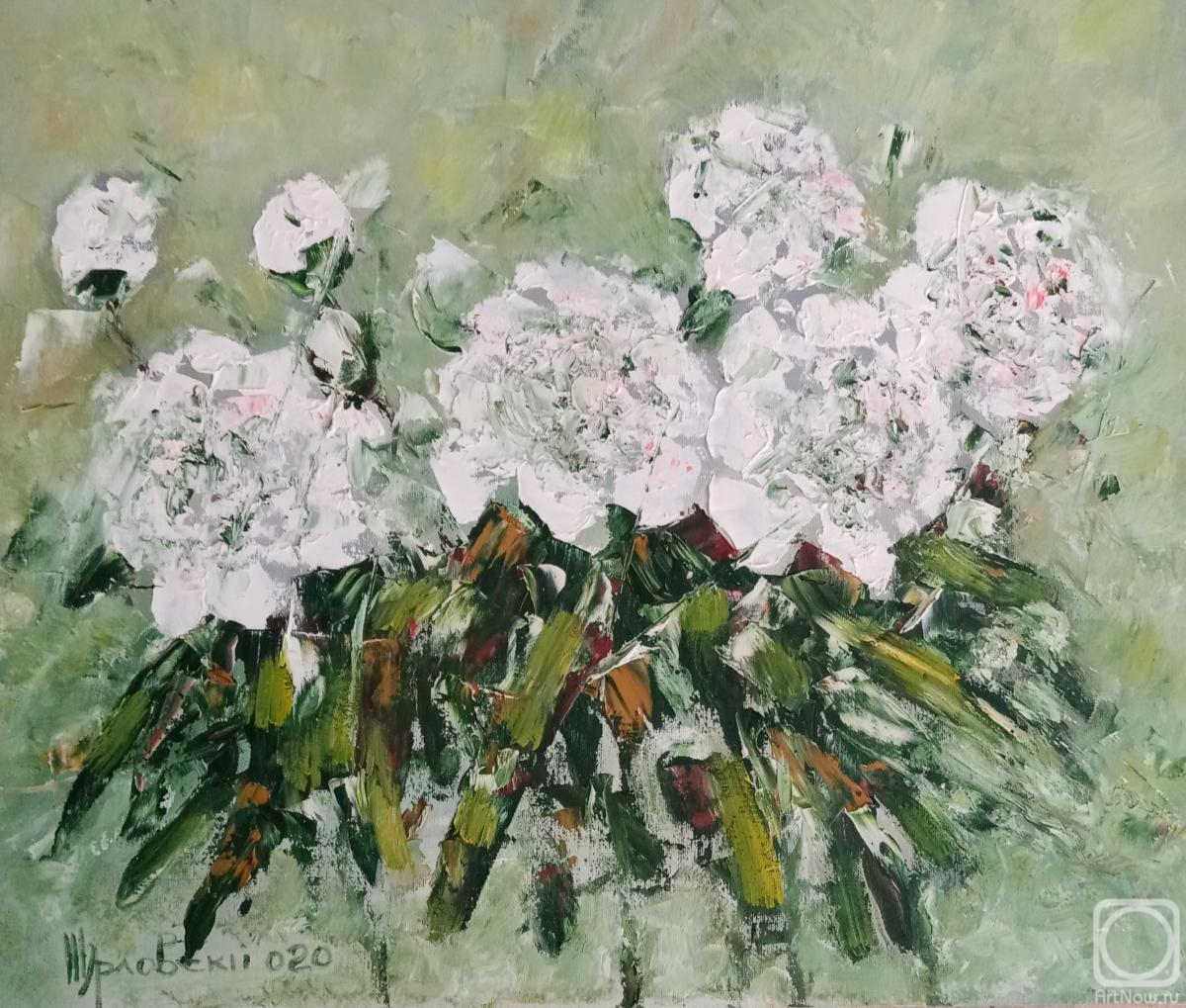 ������� ������ �� ������. ���������� �������. ����� �����