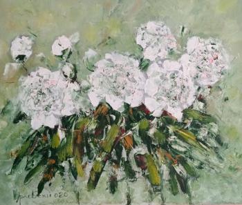 ����� �����. ���������� �������