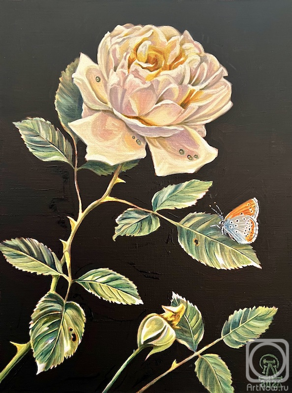 ������� ������ �� ������. �������� ������. ����� ����