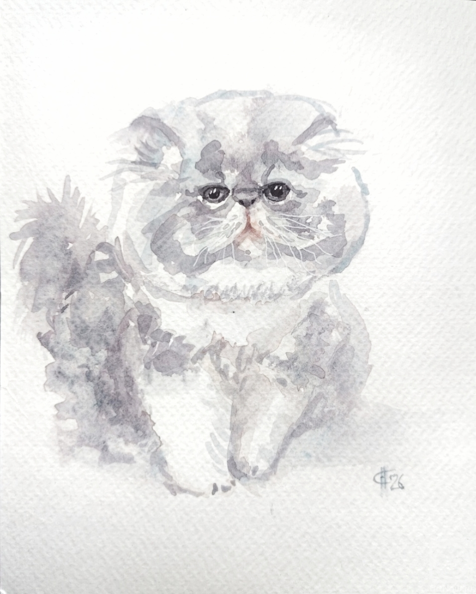 �������. ������ �������. ����� ������