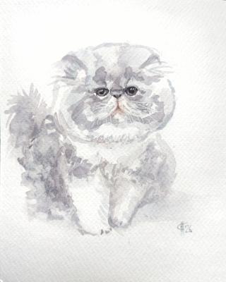 ����� ������. ������ �������