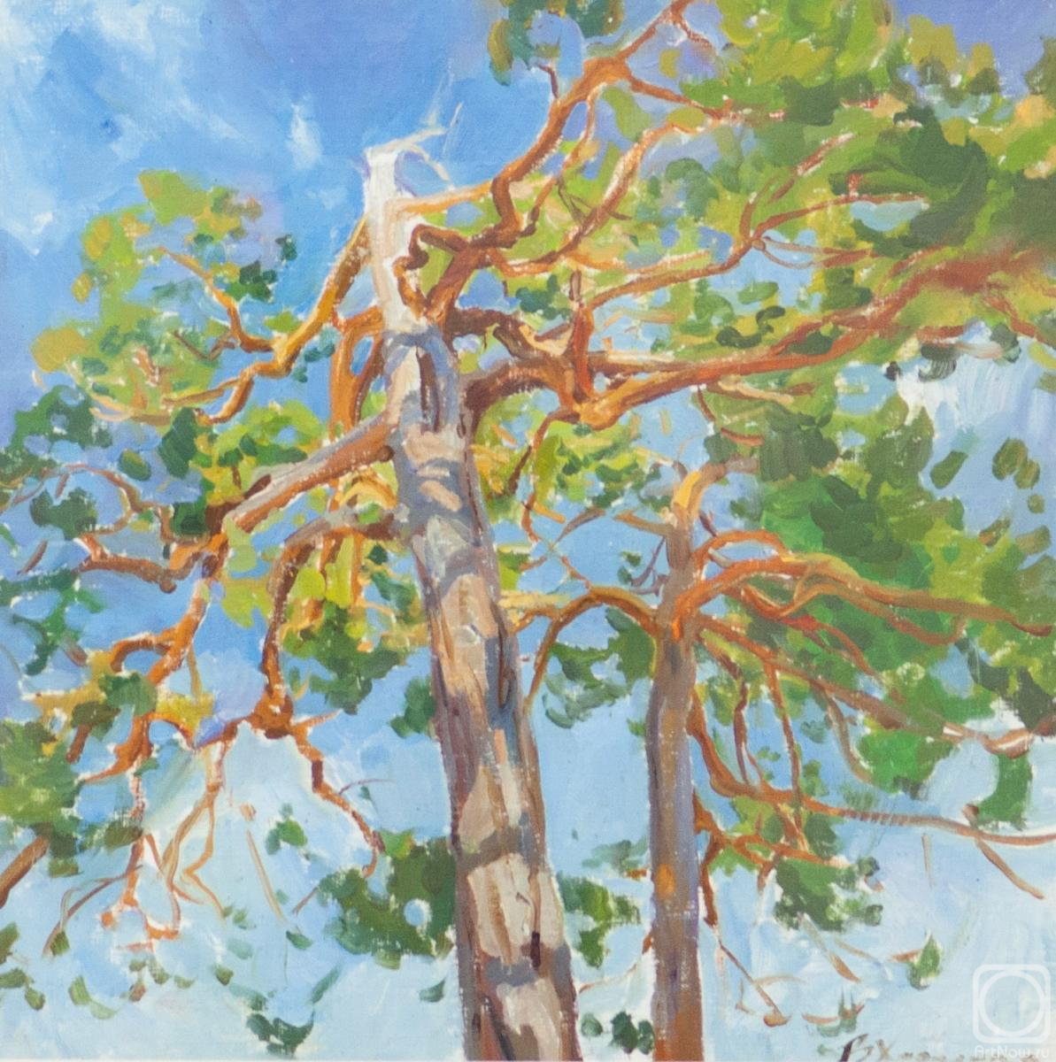 �������. �������� ��������. ����������� �����