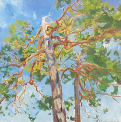 ����������� �����. �������� ��������