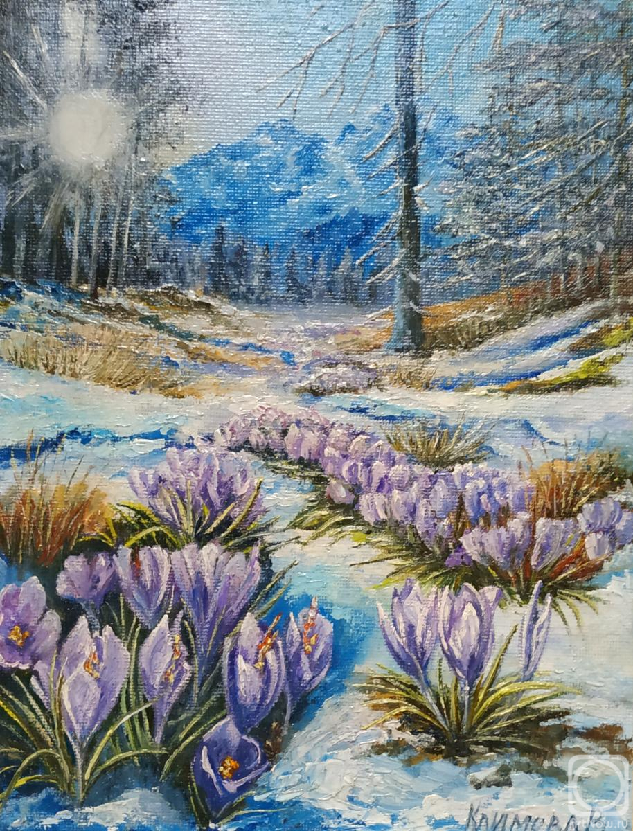 ������� ������ �� ������. ������� ����. �������. ����� � �����