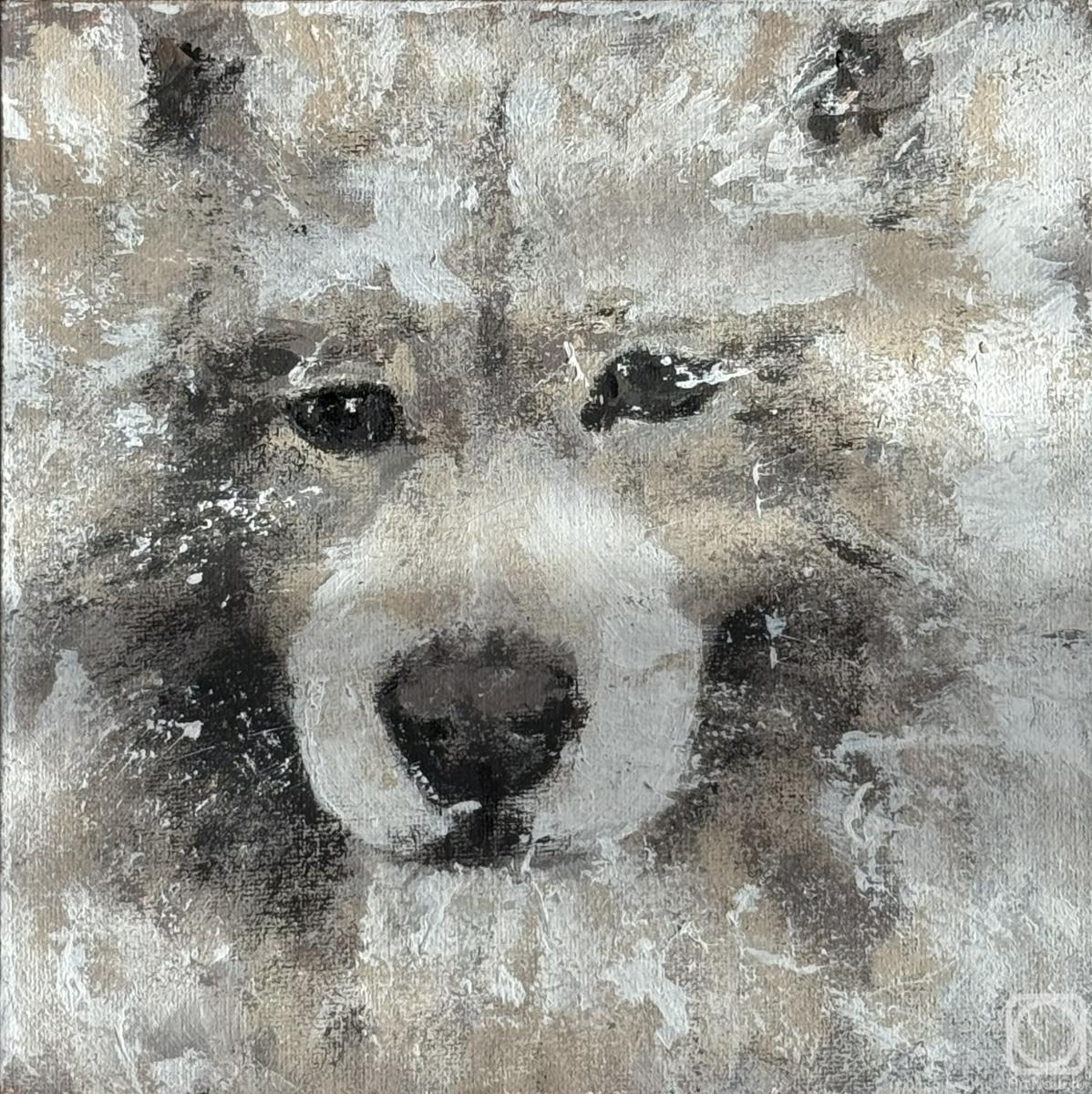 �������. �������� ������. ����