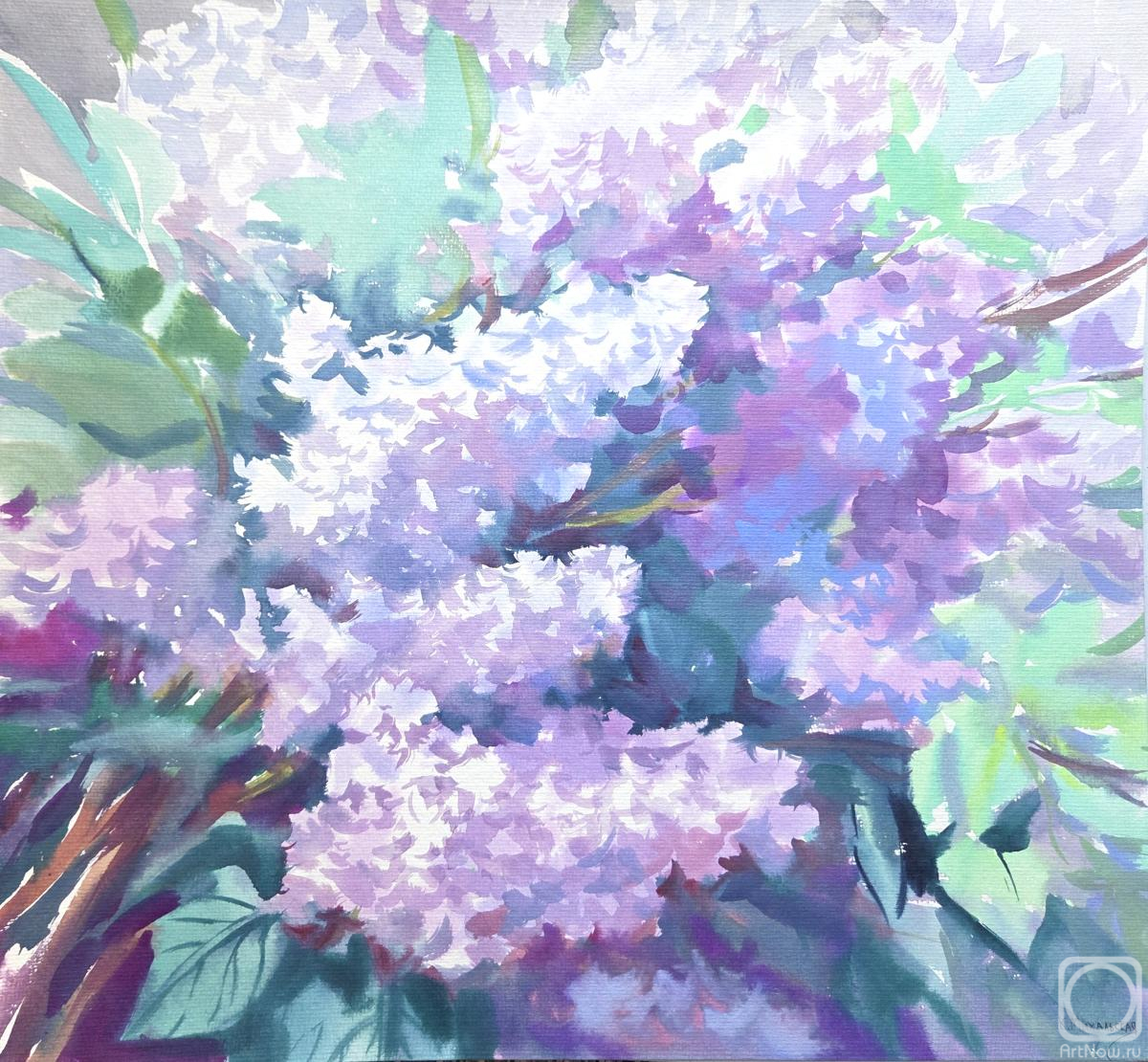 �������. ���������� ���������. ������