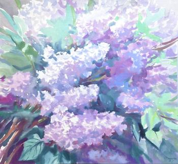 ������. ���������� ���������