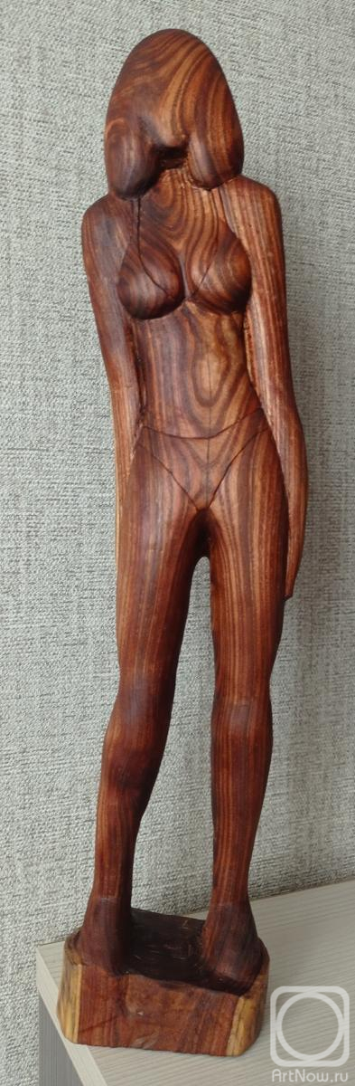 ������� ���������. ����