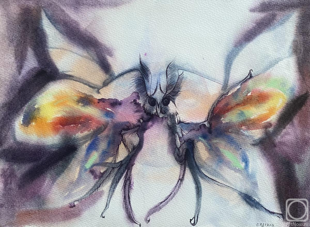 �������. ������� �����. ���������