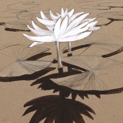 ���� �����. 2026. ���� �����