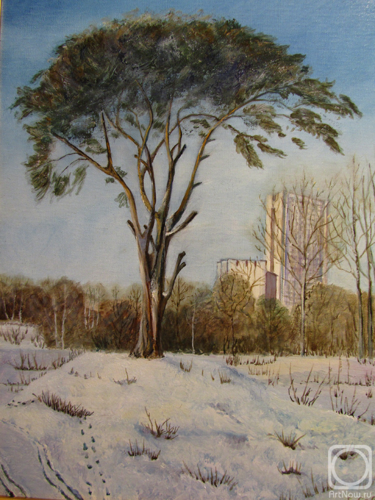 ������� ������ �� ������. ��������� �����. ����� ��������������