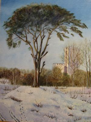 Zelenograd Pine Tree (Oil Landscape On Canvas). Savelyeva Elena