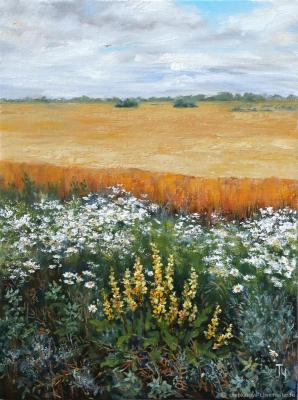 Untitled. Chepkasova Tatiana