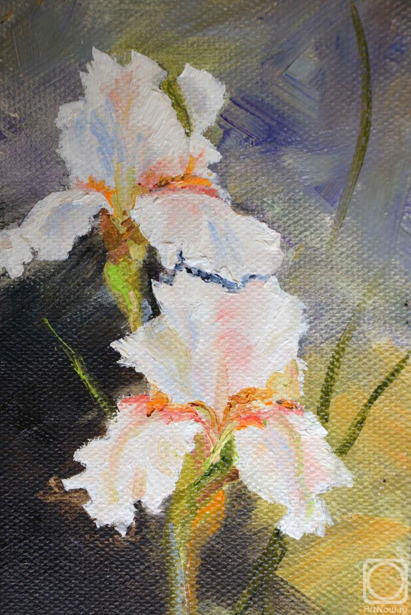 ������� ������ �� ������. �������� �����. ����� ����� ������ �� �����-������� ����