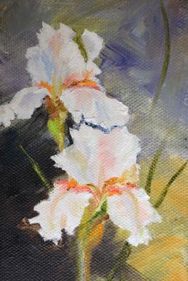 ����� ����� ������ �� �����-������� ���� (����� ������). �������� �����