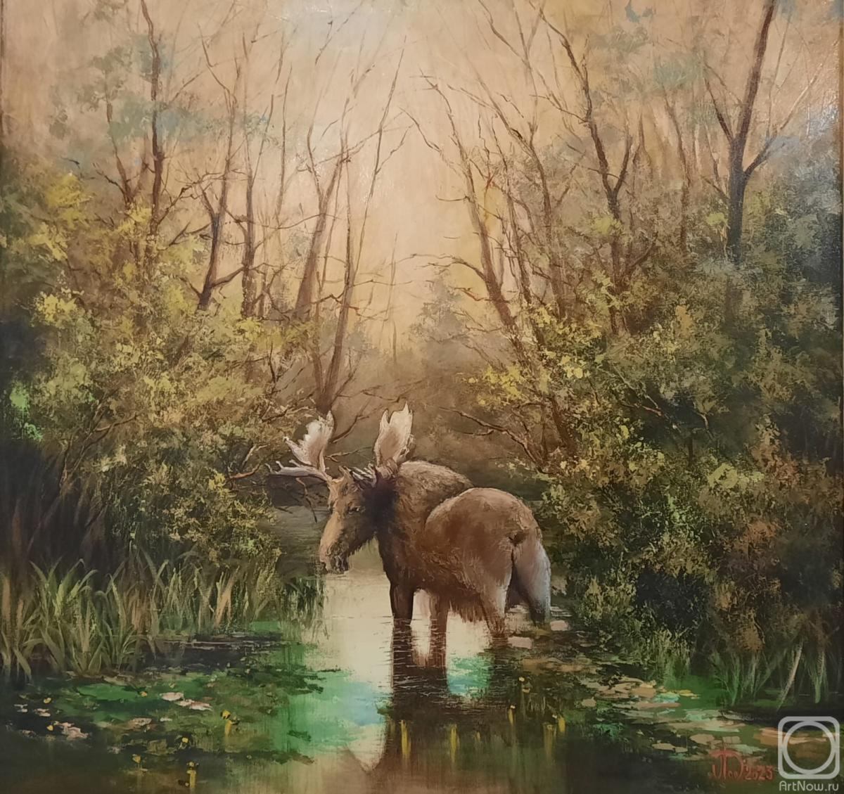 ������� ������ �� ������. ������ ���������. ����