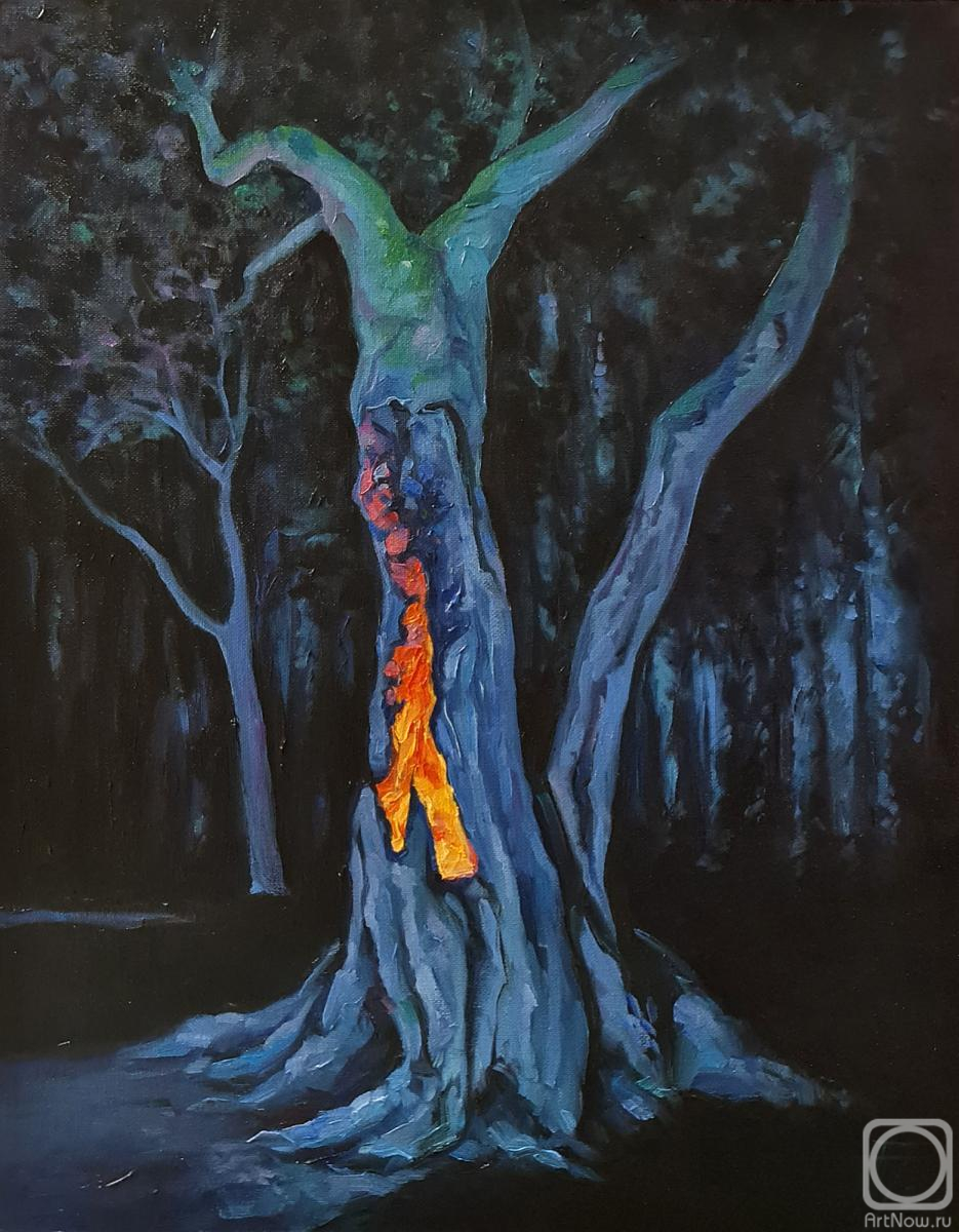 �������. ������� ���������. ��� �������