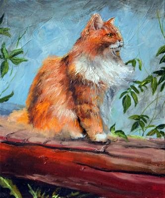 ����������� �����