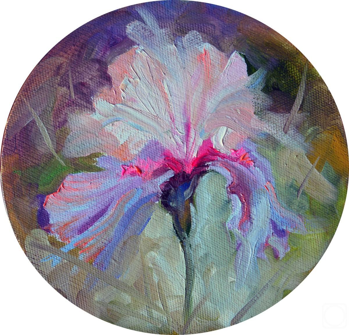 ������� ������ �� ������. �������� �����. ���������������� ����