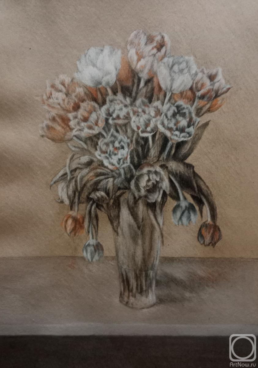 �������. ��������� �������. ��������