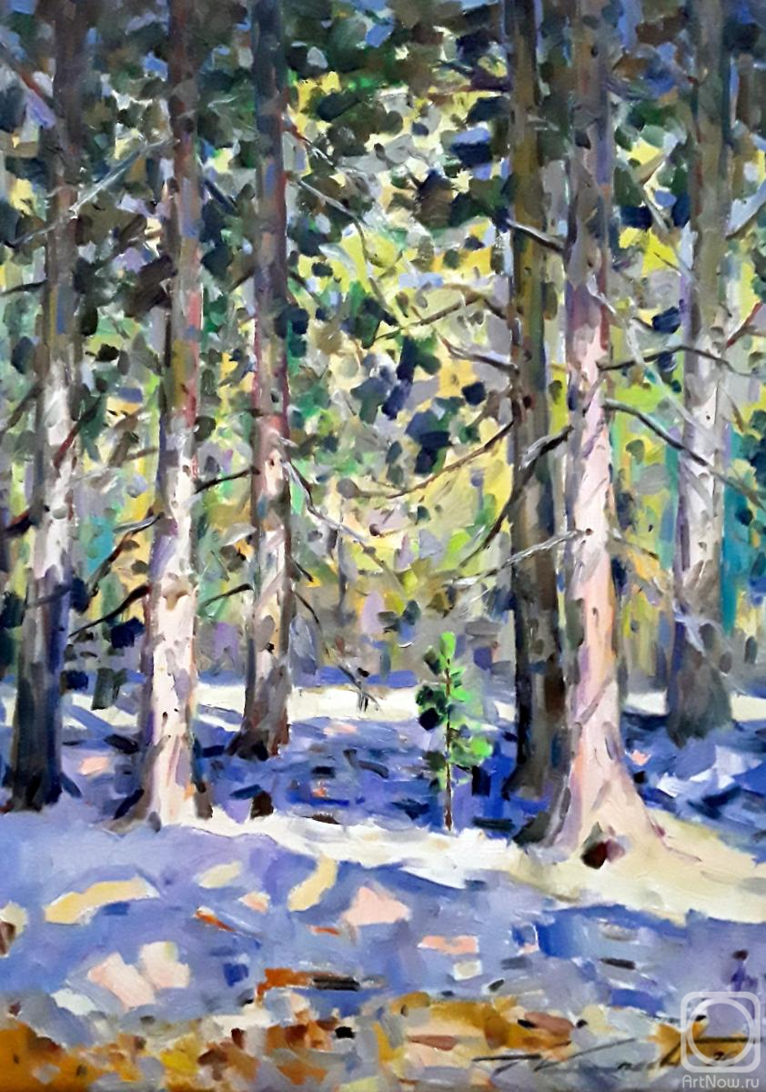 Knecht Aleksander. March in cedar