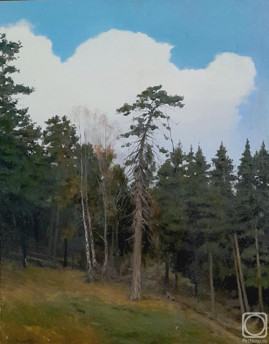 ������� ������ �� ������. ������� ����. ������� �.�. ��������� �����