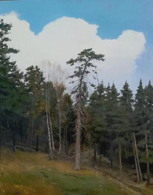 ������� �.�. ��������� �����. ������� ����